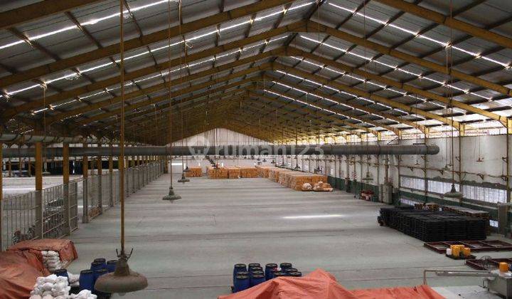 Gudang Disewakan Cocok Untuk Produsen di Cerme Gresik Pro Edge 2