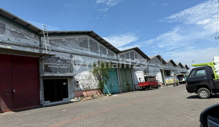 For Rent 540m2 Warehouse for 100 Million in Tanrise Gedangan Sidoarjo For Rent 540m2 Warehouse for 100 Million in Tanrise Gedangan Sidoarjo