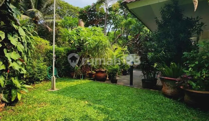 Rumah Mewah Siap Huni di Kemang Bangka