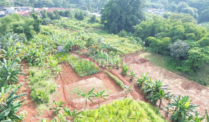 Tanah Kosong Siap Bangun di Pondok Cabe Pamulang Tanah Kosong Siap Bangun di Pondok Cabe Pamulang