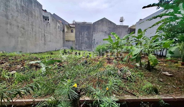 Kavling Siap Bangun Komplek Tanjung Mas Raya Tanjung Barat Kavling Siap Bangun Komplek Tanjung Mas Raya Tanjung Barat