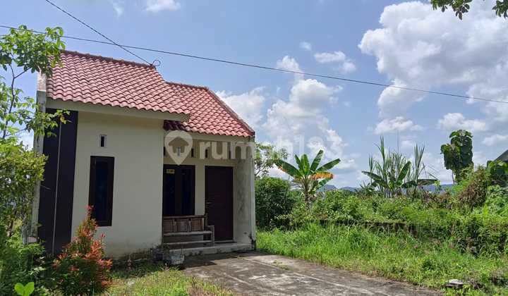 250 Jt Rumah Minimalis Modern Dekat Polsek Gantiwarno 5