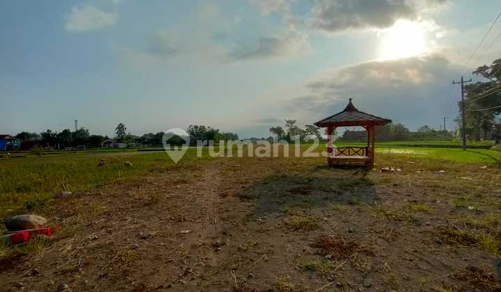 Dijual Rumah Minimalis Hanya 200jtan Di Kebonarum Klaten Siap Kpr 5
