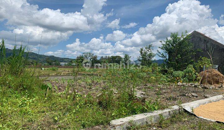 Rumah Minimalis Modern Type 36 113m2 Di Wedi Dekat Pasar 4