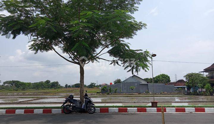 Rumah Minimalis Modern Type 45 Di Trucuk Dekat Balai Desa 2