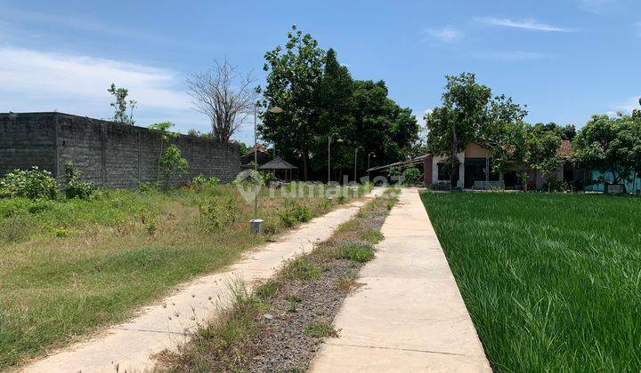 Jual Rumah Minimalis Cuma 222 Juta di Klaten Selatan Dekat Alun Alun Klaten 2