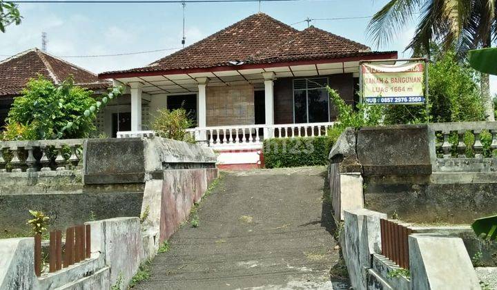 DIJUAL : RUMAH Lokasi Jalan Wates jam 16.5 , Kulon Progo, DIY 2