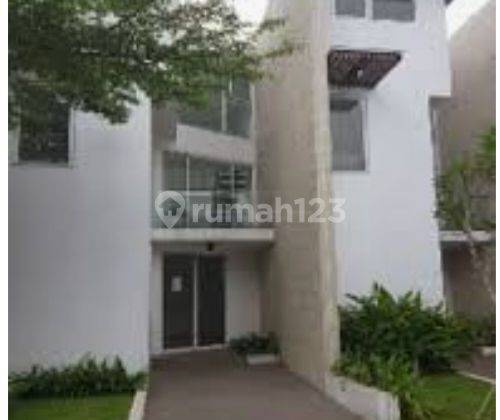 Rumah Siap Huni di Discovery Aluvia Divine Yume Bintaro Jaya 1