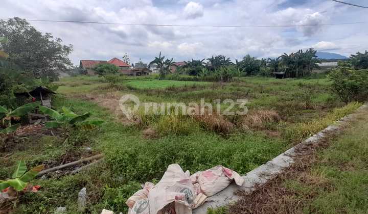 Dijual Tanah di Tanjung Senang SHM 1800.0 m²