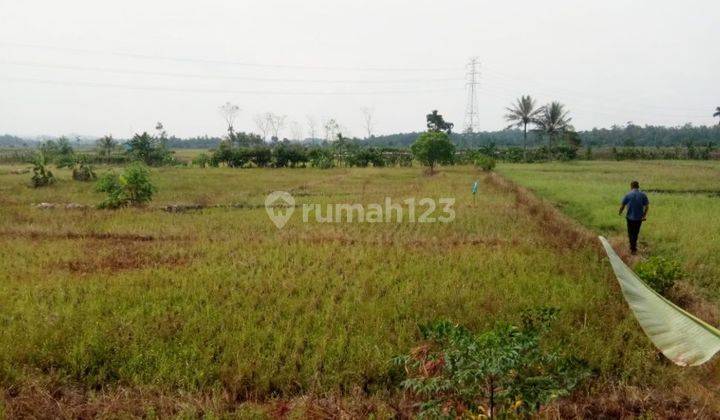 Tanah sawah produktif di Desa Way Layap 4750 SHM m² 1