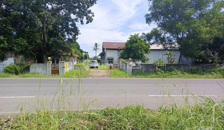 Gudang Strategis Di Gunung Sugih 36025.0 M² Hgb 1