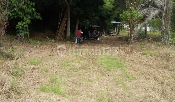 Tanah Di Jalan Pramuka SHM 4442.0 m²