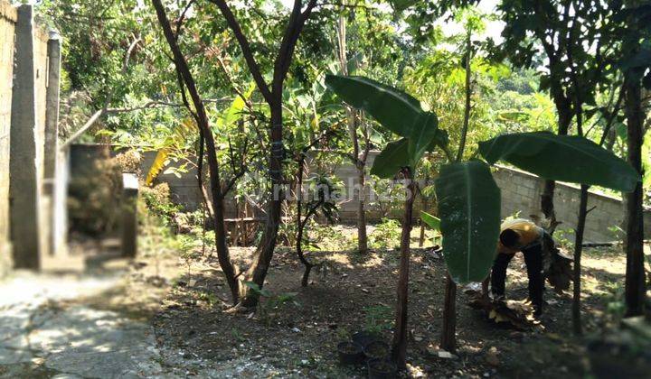 RUMAH DEKAT TAMAN SAFARI PRIGEN PASURUAN 11