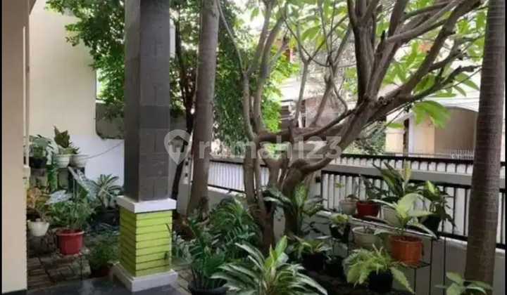 Rumah Cantik Asri di Rawamangun Rumah Cantik Asri di Rawamangun