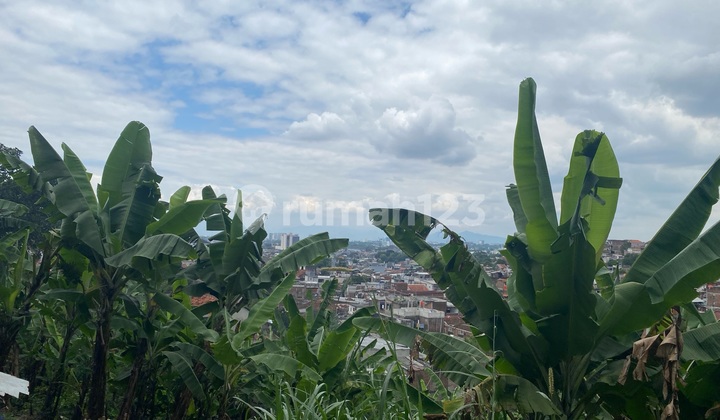 Dijual Tanah Di Pasir Honje Padasuka Cimenyan Bandung Dijual Tanah Di Pasir Honje Padasuka Cimenyan Bandung