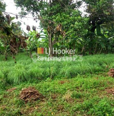 Dijual Tanah Jatibarang Mijen, SHM Siap Bangun Dekat Bsb City, View Sawah 11.856 lis  2