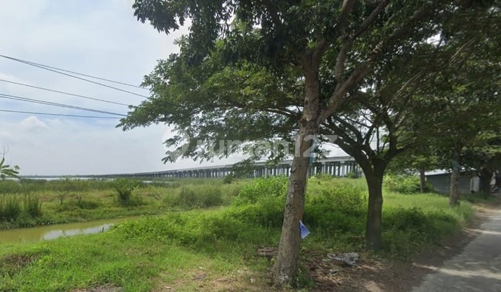 Dijual tanah cocok buat pabrik di Onggorawe,Loireng,Sayung (12559-MIL) Dijual tanah cocok buat pabrik di Onggorawe,Loireng,Sayung (12559-MIL)