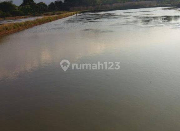 Tanah di Mundu Cirebon, Cirebon SHM 1,5 ha 4
