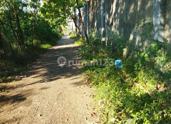 Tanah di Mundu Cirebon, Cirebon SHM 1,5 ha 6