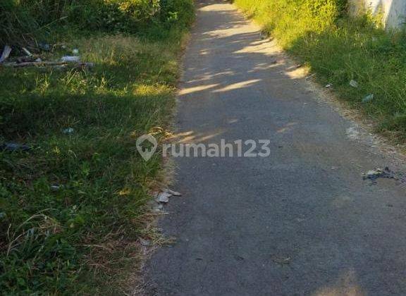 Tanah di Mundu Cirebon, Cirebon SHM 1,5 ha 7