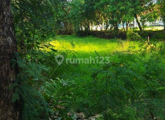 Tanah di Mundu Cirebon, Cirebon SHM 900 m² 1