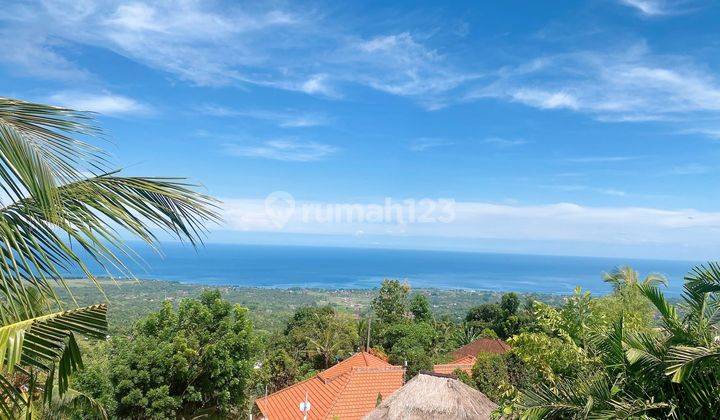 For Sale Land In Jembrana Bali 1