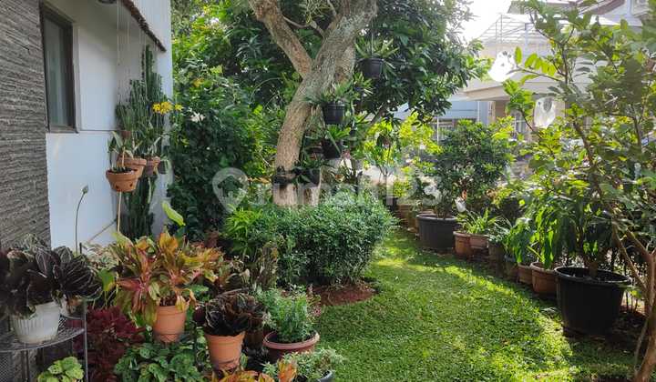 Dijual Rumah Bangunan Mandiri Cluster Flamboyan Alam Sutera Dijual Rumah Bangunan Mandiri Cluster Flamboyan Alam Sutera