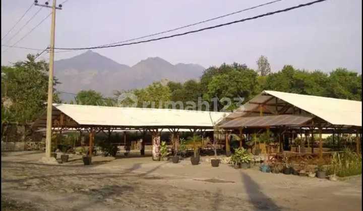 Restaurant View of Mountain and Rice Fields at Safari Park Prigen Tourist Location