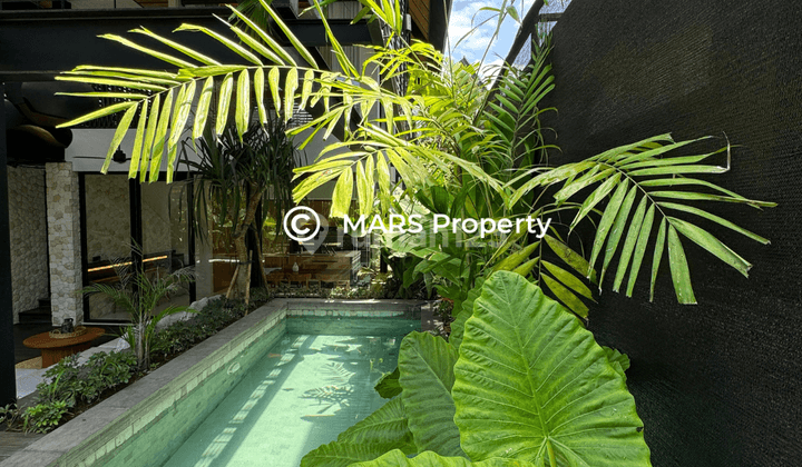 Murah Exclusive Villa Brand New Canggu Bali Fully Furnished 2