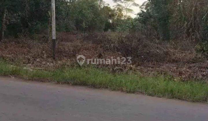 Tanah Desa Kapur sampai sungai ada 2 ukuran 1