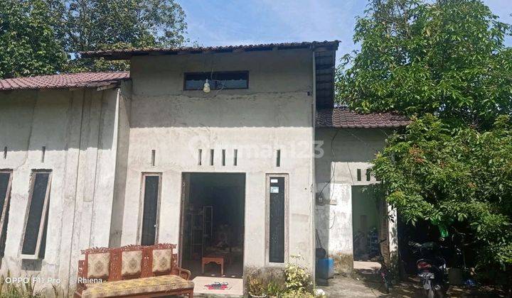 Rumah Siap Huni Lomasi Strategis Bebas Banjir Di Ampera 1