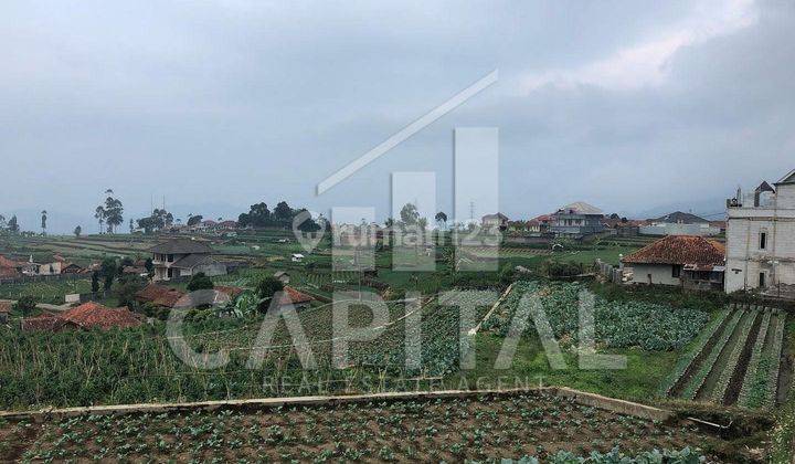 Di Jual Tanah Perkebunan di Pasir Luhur Ciwidey 2