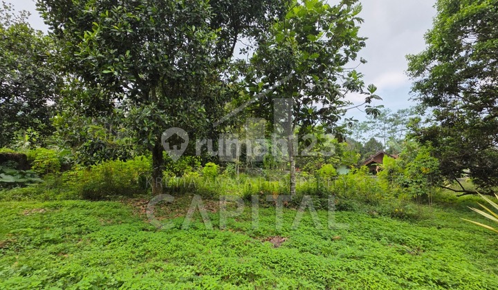 Rumah Terawat Dengan Tanah Luas Siap Huni di Mainroad Sumedang 2