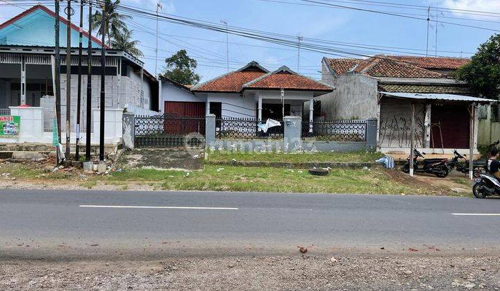 Rumah Besar di Pinggir Jalan Raya Batang Dieng 8
