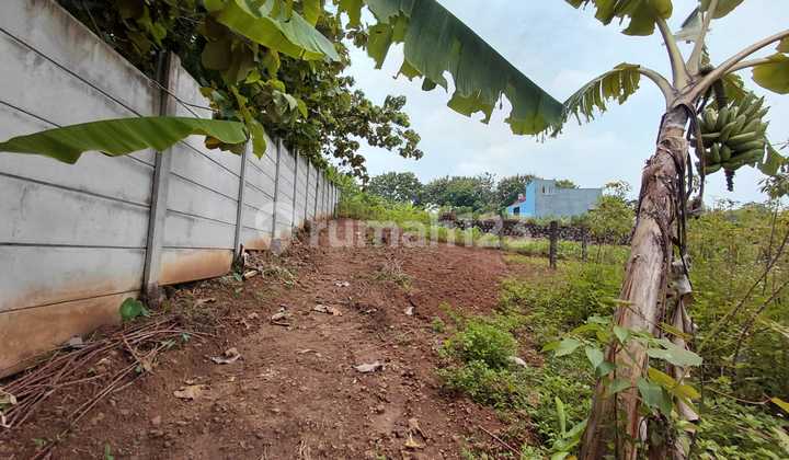 Dijual Tanah di Jangli, Tembalang, Semarang 2