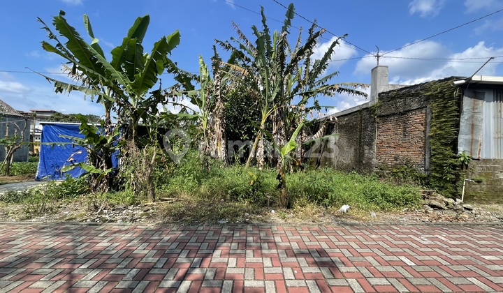 Tanah murah di Salatiga Tanah murah di Salatiga