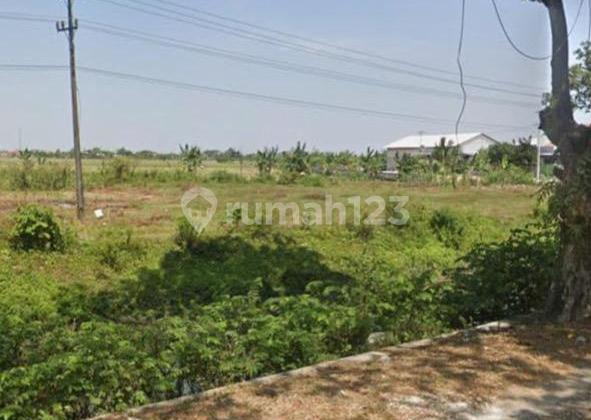 Dijual Tanah di Pinggir Jalan Raya Demak