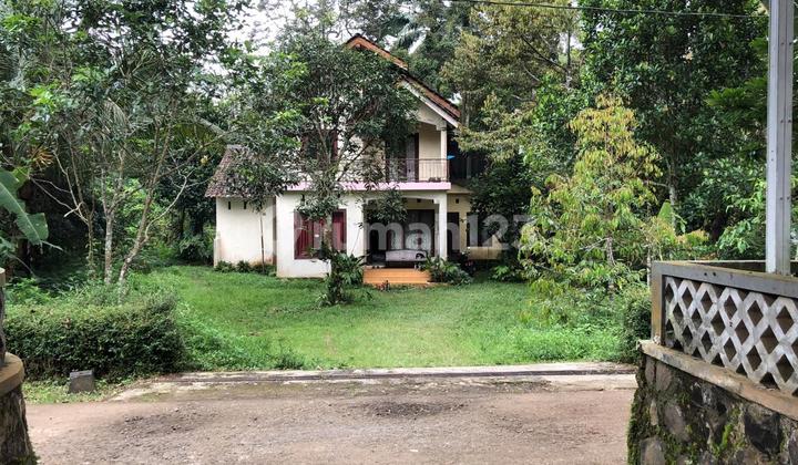 Dijual Rumah dengan kebun buah yg luas  1