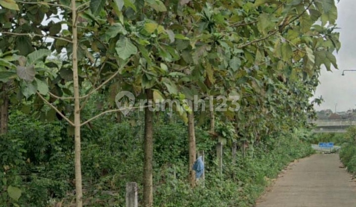 Dijual Tanah Luas di Ngaliyan Harga Jauh di Bawah NJOP 1