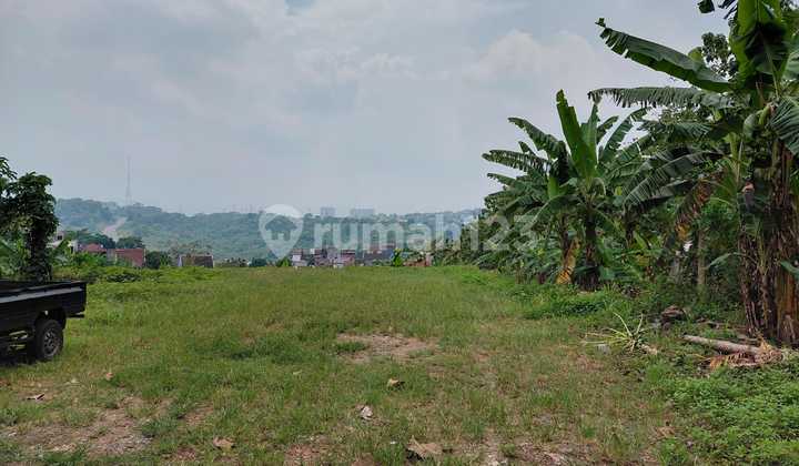 Dijual Tanah di Jangli, Tembalang, Semarang 1