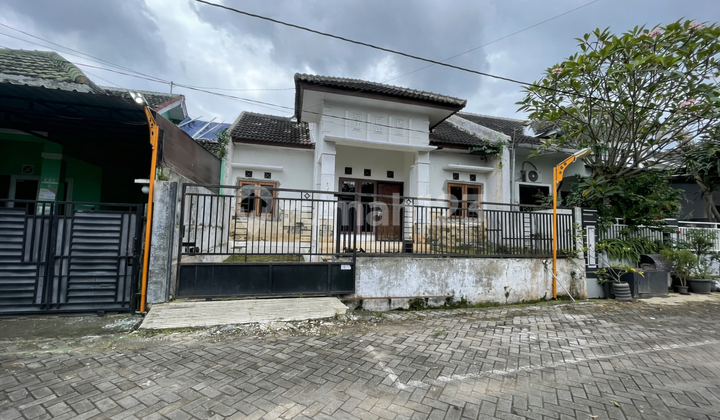 For Rent House Near Undip Campus Tembalang Semarang 1