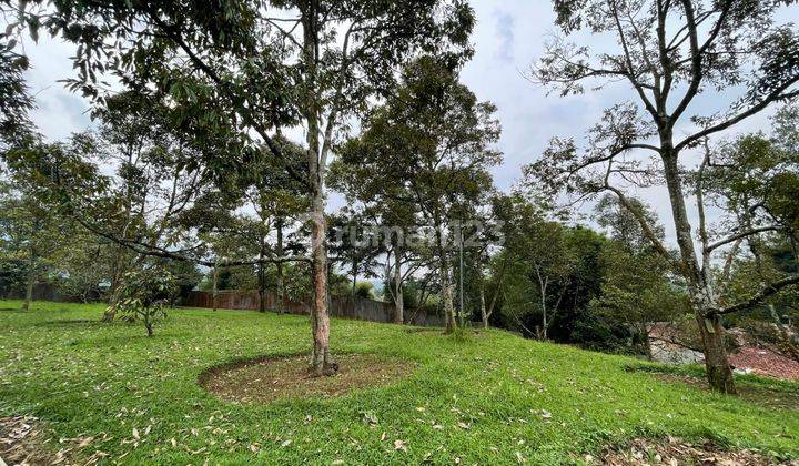 Dijual Villa Bagus Plus Kebun Duren Siap Panen Di Cijeruk Bogor 6