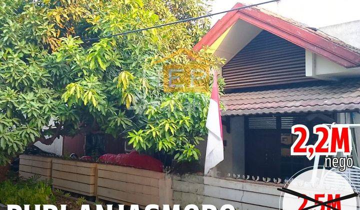 Rumah Dan Ruang Usaha
puri Anjasmoro Semarang
 1