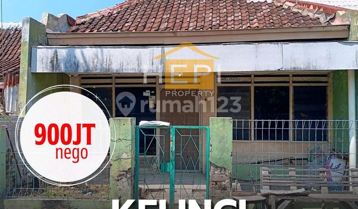 Dijual Rumah Hitung Tanah di Jl.kelinci Semarang Timur 1