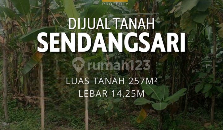 Land for Sale Cheap in Sendangsari Semarang 1