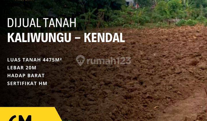 Tanah di pinggir jalan Raya Semarang-Kendal 1