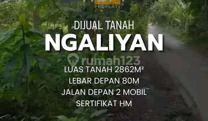 Tanah di Ngaliyan,2Km ke Jl.raya di Belakang Cluster Forest Hill 1