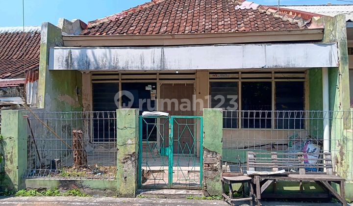 Dijual Rumah Hitung Tanah di Jl.kelinci Semarang Timur 2
