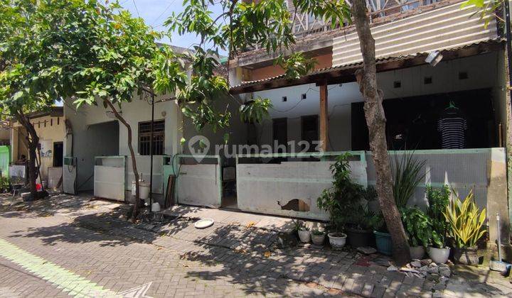 Dijual Murah 2 Rumah Jejer Di Klipang Pedurungan Semarang 2