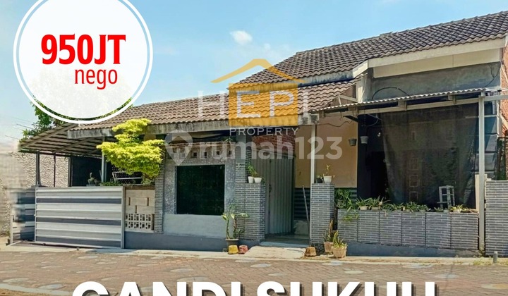 Rumah Hook Di Candi Sukuh Ngaliyan Semarang 1